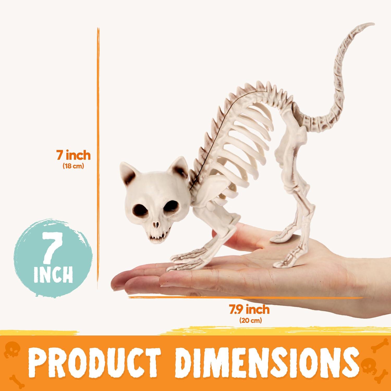 imageJOYIN 4 PCS Skeleton Cats Halloween Decorations Set Animal Courtyard for Photo Props Indoor Outdoor Decorations Trick or Treat Decor Spooky Scene Party Favors 7  79  3 inches