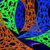 imageJOYIN 1000sqft Halloween Spider Web Decoration Outdoor GlowinTheDark Giant Spiderweb DIY Stretchy Flexible Beef Netting in White Blue at Night Green Orange for Neon Decor Indoor Haunted HouseWhite  Green  Orange