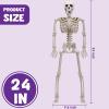 imageJOYIN 2 PCS 24 Halloween Skeleton Decor 2 FT Full Body Stayable Posable Skeletons for Halloween White Human Plastic Bones with Movable Joints for Spooky Indoor Outdoor Decoration Graveyard PropYellow