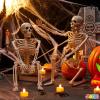imageJOYIN 2 PCS 24 Halloween Skeleton Decor 2 FT Full Body Stayable Posable Skeletons for Halloween White Human Plastic Bones with Movable Joints for Spooky Indoor Outdoor Decoration Graveyard PropYellow