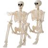 imageJOYIN 2 PCS 24 Halloween Skeleton Decor 2 FT Full Body Stayable Posable Skeletons for Halloween White Human Plastic Bones with Movable Joints for Spooky Indoor Outdoor Decoration Graveyard PropYellow
