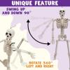 imageJOYIN 2 PCS 24 Halloween Skeleton Decor 2 FT Full Body Stayable Posable Skeletons for Halloween White Human Plastic Bones with Movable Joints for Spooky Indoor Outdoor Decoration Graveyard PropWhite