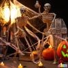 imageJOYIN 2 PCS 24 Halloween Skeleton Decor 2 FT Full Body Stayable Posable Skeletons for Halloween White Human Plastic Bones with Movable Joints for Spooky Indoor Outdoor Decoration Graveyard PropWhite