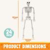 imageJOYIN 2 PCS 24 Halloween Skeleton Decor 2 FT Full Body Stayable Posable Skeletons for Halloween White Human Plastic Bones with Movable Joints for Spooky Indoor Outdoor Decoration Graveyard PropWhite