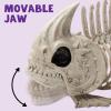 imageJOYIN 2 PCS 95 Halloween Posable Fish Skeleton Decor Animal Plastic Bones with Posable Joints for Indoor Outdoor Halloween Decorations Party Props Yard Patio Lawn Garden Props Decor