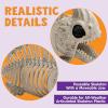 imageJOYIN 2 PCS 95 Halloween Posable Fish Skeleton Decor Animal Plastic Bones with Posable Joints for Indoor Outdoor Halloween Decorations Party Props Yard Patio Lawn Garden Props Decor