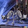 imageJOYIN 2 PCS Skeleton Cats Halloween Decorations Set Animal Courtyard for Photo Props Indoor Outdoor Decorations Trick or Treat Decor Spooky Scene Party Favors 7  79  3 inches