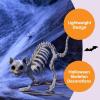 imageJOYIN 2 PCS Skeleton Cats Halloween Decorations Set Animal Courtyard for Photo Props Indoor Outdoor Decorations Trick or Treat Decor Spooky Scene Party Favors 7  79  3 inches