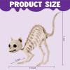 imageJOYIN 2 PCS Skeleton Cats Halloween Decorations Set Animal Courtyard for Photo Props Indoor Outdoor Decorations Trick or Treat Decor Spooky Scene Party Favors 7  79  3 inches