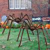 imageJOYIN 2 Pack 5 Ft Halloween Outdoor Decorations Hairy Black Spider Scary Giant Spider Fake Large Haunted House Props Halloween Yard Lawn Decorations Party Indoor DecorBrown