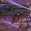 imageJOYIN 2 Pack 5 Ft Halloween Outdoor Decorations Hairy Black Spider Scary Giant Spider Fake Large Haunted House Props Halloween Yard Lawn Decorations Party Indoor DecorBrown