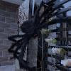 imageJOYIN 2 Pack 5 Ft Halloween Outdoor Decorations Hairy Black Spider Scary Giant Spider Fake Large Haunted House Props Halloween Yard Lawn Decorations Party Indoor DecorBlack