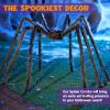imageJOYIN 2 Pack 5 Ft Halloween Outdoor Decorations Hairy Black Spider Scary Giant Spider Fake Large Haunted House Props Halloween Yard Lawn Decorations Party Indoor DecorBrown