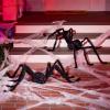 imageJOYIN 2 Pack 5 Ft Halloween Outdoor Decorations Hairy Black Spider Scary Giant Spider Fake Large Haunted House Props Halloween Yard Lawn Decorations Party Indoor DecorBlack