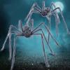imageJOYIN 2 Pack 5 Ft Halloween Outdoor Decorations Hairy Black Spider Scary Giant Spider Fake Large Haunted House Props Halloween Yard Lawn Decorations Party Indoor DecorGray