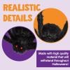 imageJOYIN 2 Pack 5 Ft Halloween Outdoor Decorations Hairy Black Spider Scary Giant Spider Fake Large Haunted House Props Halloween Yard Lawn Decorations Party Indoor DecorBlack