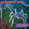 imageJOYIN 2 Pack 5 Ft Halloween Outdoor Decorations Hairy Black Spider Scary Giant Spider Fake Large Haunted House Props Halloween Yard Lawn Decorations Party Indoor DecorGray