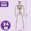 imageJOYIN 24 Inch Halloween Posable Skeleton with LED Red Glowing Eyes 2FT Realistic Hanging Skeleton Bone Full Body Movable Joints for Halloween Indoor Outdoor Decoration Prop Haunted House Party Decor