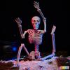 imageJOYIN 24 Inch Halloween Posable Skeleton with LED Red Glowing Eyes 2FT Realistic Hanging Skeleton Bone Full Body Movable Joints for Halloween Indoor Outdoor Decoration Prop Haunted House Party Decor