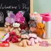 imageJOYIN 24 Packs Valentines Day Heart Cards with Plush Toy Party Favors Mini Stuffed Animal Plush Toys for Valentines Day Gifts Kids Classroom School Exchange Prize brown bear