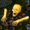 imageJOYIN 3 Pcs Halloween Skeleton Decorations Outdoor LED Realistic Skeleton Yard Stakes Light Up Skull and Arms Decor for Graveyard Yard Lawn Garden Party SuppliesLED Realistic Skeleton