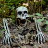 imageJOYIN 3 Pcs Halloween Skeleton Decorations Outdoor LED Realistic Skeleton Yard Stakes Light Up Skull and Arms Decor for Graveyard Yard Lawn Garden Party SuppliesRealistic Skeleton