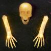 imageJOYIN 3 Pcs Halloween Skeleton Decorations Outdoor LED Realistic Skeleton Yard Stakes Light Up Skull and Arms Decor for Graveyard Yard Lawn Garden Party SuppliesLED Realistic Skeleton