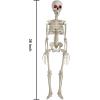 imageJOYIN 36 Halloween Skeleton Decorations with Red LED Light Eyes Plastic Bones with Movable