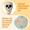 imageJOYIN 36quot Halloween Skeleton Decor 3FT Full Body Stayable Movable Joints Posable Hanging Skeletons for Halloween Decoration Yard Graveyard Haunted House Props Spooky Scene Party Favor36 inches
