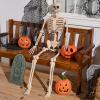 imageJOYIN 36quot Halloween Skeleton Decor 3FT Full Body Stayable Movable Joints Posable Hanging Skeletons for Halloween Decoration Yard Graveyard Haunted House Props Spooky Scene Party Favor36 inches