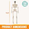 imageJOYIN 36quot Halloween Skeleton Decor 3FT Full Body Stayable Movable Joints Posable Hanging Skeletons for Halloween Decoration Yard Graveyard Haunted House Props Spooky Scene Party Favor36 inches