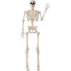 imageJOYIN 36quot Halloween Skeleton Decor 3FT Full Body Stayable Movable Joints Posable Hanging Skeletons for Halloween Decoration Yard Graveyard Haunted House Props Spooky Scene Party Favor36 inches