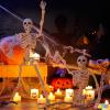 imageJOYIN 36quot Halloween Skeleton Decor 3FT Full Body Stayable Movable Joints Posable Hanging Skeletons for Halloween Decoration Yard Graveyard Haunted House Props Spooky Scene Party Favor16 inches