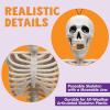 imageJOYIN 36quot Halloween Skeleton Decor 3FT Full Body Stayable Movable Joints Posable Hanging Skeletons for Halloween Decoration Yard Graveyard Haunted House Props Spooky Scene Party Favor16 inches