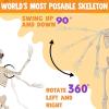imageJOYIN 36quot Halloween Skeleton Decor 3FT Full Body Stayable Movable Joints Posable Hanging Skeletons for Halloween Decoration Yard Graveyard Haunted House Props Spooky Scene Party Favor36 inches
