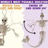 imageJOYIN 4 PCS 20 Mermaid Skeleton Hanging Plastic Bones Halloween Decorations with Posable Joints for Indoor Outdoor Photo Props Graveyard Trick or Treat Decor Spooky Scene Party Favors4