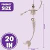 imageJOYIN 4 PCS 20 Mermaid Skeleton Hanging Plastic Bones Halloween Decorations with Posable Joints for Indoor Outdoor Photo Props Graveyard Trick or Treat Decor Spooky Scene Party Favors4
