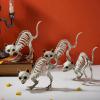 imageJOYIN 4 PCS Skeleton Cats Halloween Decorations Set Animal Courtyard for Photo Props Indoor Outdoor Decorations Trick or Treat Decor Spooky Scene Party Favors 7  79  3 inches