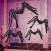 imageJOYIN 4 Packs Halloween Outdoor Decorations Spider Set Scary Large Spiders for Halloween Decor Outside Indoor Party Decor Haunted House Prop Yard Lawn Garden Decoration Black 60quot 36quot 24quot 24quot