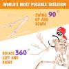 imageJOYIN 5 FT Halloween Skeleton Life Size Stayable Posable Skeleton Decor Full Body Movable Joints Giant Skeletons for Halloween Decoration Outdoor Haunted House Prop Spooky Scary Graveyard PartyPirate Skeleton