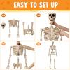 imageJOYIN 5 FT Halloween Skeleton Life Size Stayable Posable Skeleton Decor Full Body Movable Joints Giant Skeletons for Halloween Decoration Outdoor Haunted House Prop Spooky Scary Graveyard PartySpooky Skeleton