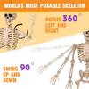 imageJOYIN 5 FT Halloween Skeleton Life Size Stayable Posable Skeleton Decor Full Body Movable Joints Giant Skeletons for Halloween Decoration Outdoor Haunted House Prop Spooky Scary Graveyard PartySpooky Skeleton