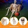 imageJOYIN 5 FT Halloween Skeleton Life Size Stayable Posable Skeleton Decor Full Body Movable Joints Giant Skeletons for Halloween Decoration Outdoor Haunted House Prop Spooky Scary Graveyard PartySpooky Skeleton