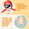 imageJOYIN 5 FT Halloween Skeleton Life Size Stayable Posable Skeleton Decor Full Body Movable Joints Giant Skeletons for Halloween Decoration Outdoor Haunted House Prop Spooky Scary Graveyard PartyPirate Skeleton