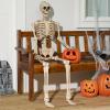 imageJOYIN 5 FT Halloween Skeleton Life Size Stayable Posable Skeleton Decor Full Body Movable Joints Giant Skeletons for Halloween Decoration Outdoor Haunted House Prop Spooky Scary Graveyard PartySpooky Skeleton