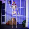 imageJOYIN 5 FT Halloween Skeleton Life Size Stayable Posable Skeleton Decor Full Body Movable Joints Giant Skeletons for Halloween Decoration Outdoor Haunted House Prop Spooky Scary Graveyard PartyPirate Skeleton