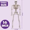 imageJOYIN 5 PCS Posable Halloween Skeleton Decor 16 Inches Full Body Posable Joints Hanging Skeletons for Halloween Decorations Graveyard Props Haunted House Accessories Spooky Scene Party FavorsOriginal