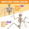 imageJOYIN 5 PCS Posable Halloween Skeleton Decor 16 Inches Full Body Posable Joints Hanging Skeletons for Halloween Decorations Graveyard Props Haunted House Accessories Spooky Scene Party FavorsWhite  Pink  Orange  Green  Purple