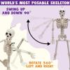 imageJOYIN 5 PCS Posable Halloween Skeleton Decor 16 Inches Full Body Posable Joints Hanging Skeletons for Halloween Decorations Graveyard Props Haunted House Accessories Spooky Scene Party FavorsOriginal