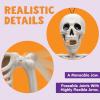 imageJOYIN 5 PCS Posable Halloween Skeleton Decor 16 Inches Full Body Posable Joints Hanging Skeletons for Halloween Decorations Graveyard Props Haunted House Accessories Spooky Scene Party FavorsWhite  Pink  Orange  Green  Purple